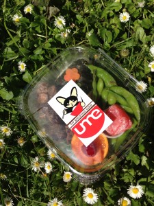 a bento lunch from Ume
